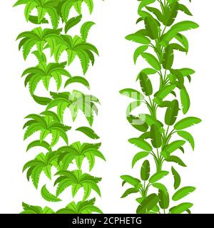 Giungla tropicale foglie modello senza giunture. Verde esotico fogliame vettore bordi. Illustrazione della pianta di palma della giungla, modello di fogliame verde Illustrazione Vettoriale