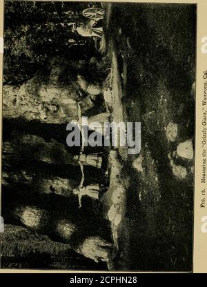 . Nuova agricoltura elementare per scuole rurali e di livello; un libro di testo elementare che tratta le piante, gli insetti, gli uccelli, il tempo e gli animali della fattoria . 36 NUOVA AGRICOLTURA ELEIMENTARY che contrasto c'è in questo senso tra un albero e la pianta di porslane, e tuttavia quanto bene ciascuno riesce a modo suo. L'albero insiste sui vicini più afflitvi e li lascia all'ombra. Alcuni di loro non mente questo, ma imparare a prosperare meglio in thecool e foresta crepusky; l'albero stesso è generalmente thriftierwhere è parzialmente ombreggiato dai suoi vicini; è bruscamente e per molti anni un Foto Stock