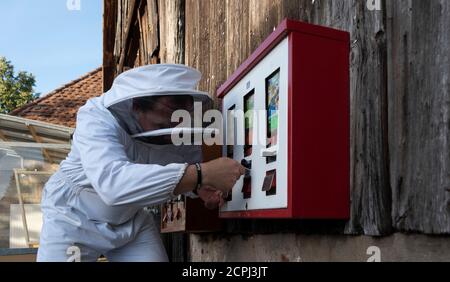 L'apicoltore è a una macchina per la gomma Foto Stock