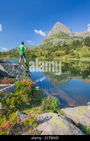 Laghi Colbricon in estate con rododendro fioritura e montagna riflessa sull'acqua, un escursionista in piedi su una roccia, Lagorai, Trentino, Italia, UE Foto Stock