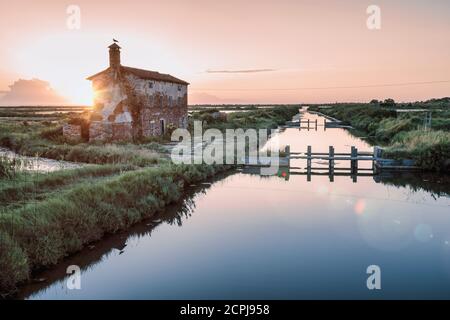 antico edificio rurale abbandonato nella laguna di lio piccolo, cavallino treporti, venezia, veneto, italia Foto Stock