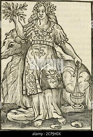 . Iconologia, of, Uytbeeldingen des verstanden : waer in verscheiden afbeeldingen van deughden, ondeughden, genegentheden, menschlijcke hertztochten, konsten, leeringen, sinlijckheden, elementen, hemelsche lichamen, landschen van handeren, verweren, kelen alle, verweren een werck dat dienstigh is, allen reedenaers, poëten, schilders, beeldhousers, teyckenaers, en alle andere konstbeminders en liefhebbers der geleertheyt en eerlijcke wetenschappen ... . , ingeleertheit en in alle vrye konften. De winc-kelhae Foto Stock