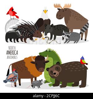 Popolare Nord America animali gruppi illustrazione vettoriale. Orso e bisonte, porcospino e alligatore, cervo e aquila Illustrazione Vettoriale