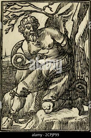 . Iconologia, of, Uytbeeldingen des verstanden : waer in verscheiden afbeeldingen van deughden, ondeughden, genegentheden, menschlijcke hertztochten, konsten, leeringen, sinlijckheden, elementen, hemelsche lichamen, landschen van handeren, verweren, kelen alle, verweren een werck dat dienstigh is, allen reedenaers, poëten, schilders, beeldhousers, teyckenaers, en alle andere konstbeminders en liefhebbers der geleertheyt en eerlijcke wetenschappen ... tte kennifte van t verftand.De Sliverie des lichaems, Foto Stock