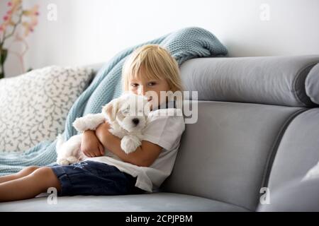 Carino piccolo biondo bambino, bambino piccolo, giocando con cucciolo bianco cane maltese a casa Foto Stock