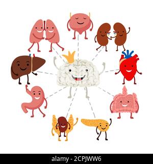 Il cervello controlla il concetto di vettore interno degli organi umani. Illustrazione dell'organo cerebrale, controllo interno dell'assistenza sanitaria Illustrazione Vettoriale
