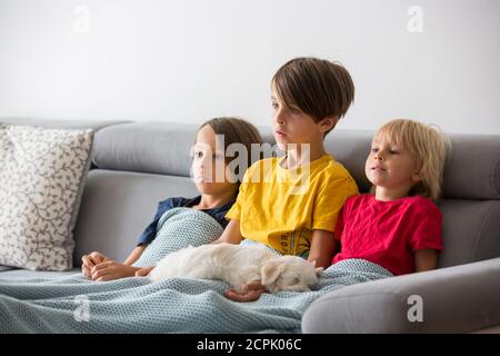 Bambini carini, fratelli che guardano la TV con il piccolo cane cucciolo, sdraiati sul divano con morbida coperta, coccolati