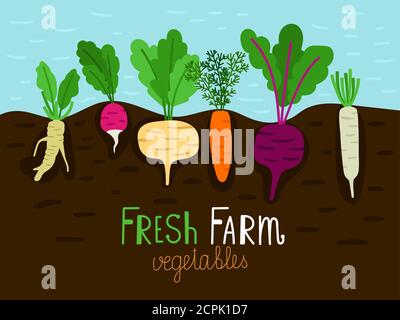 Orto che cresce. Disegno di giardinaggio di verdure, cibo di fattoria di famiglia crescono con le radici in terra, veggies che crescono e che piantano, illustrazione del vettore Illustrazione Vettoriale