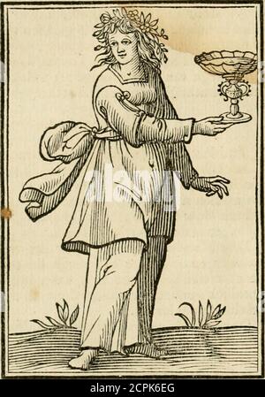 . Iconologia, of, Uytbeeldingen des verstanden : waer in verscheiden afbeeldingen van deughden, ondeughden, genegentheden, menschlijcke hertztochten, konsten, leeringen, sinlijckheden, elementen, hemelsche lichamen, landschen van handeren, verweren, kelen alle, verweren een werck dat dienstigh is, allen reedenaers, poëten, schilders, beeldhousers, teyckenaers, en alle andere konstbeminders en liefhebbers der geleertheyt en eerlijcke wetenschappen ... . ehousinge des hchaems gantlch evergeten. De bloemen zi Foto Stock