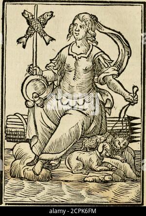 . Iconologia, of, Uytbeeldingen des verstanden : waer in verscheiden afbeeldingen van deughden, ondeughden, genegentheden, menschlijcke hertztochten, konsten, leeringen, sinlijckheden, elementen, hemelsche lichamen, landschen van handeren, verweren, kelen alle, verweren een werck dat dienstigh is, allen reedenaers, poëten, schilders, beeldhousers, teyckenaers, en alle andere konstbeminders en liefhebbers der geleertheyt en eerlijcke wetenschappen ... . gewapent7ijn als Bellom, met een ftormhocd op derechter Foto Stock