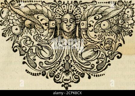 . Iconologia, of, Uytbeeldingen des verstanden : waer in verscheiden afbeeldingen van deughden, ondeughden, genegentheden, menschlijcke hertztochten, konsten, leeringen, sinlijckheden, elementen, hemelsche lichamen, landschen van handeren, verweren, kelen alle, verweren een werck dat dienstigh is, allen reedenaers, poëten, schilders, beeldhousers, teyckenaers, en alle andere konstbeminders en liefhebbers der geleertheyt en eerlijcke wetenschappen ... . afbeeldin-gen, uytdrucken : Waer over wy oock in diefèl Foto Stock