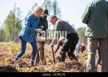 Lipusz, Polonia. 18 Settembre 2020. Il presidente della Polonia Andrzej Duda e sua moglie Agata Kornhauser Duda sono visti piantare alberi nel Lipusz Forest District. La campagna sadziMY è stata tenuta per la seconda volta in tutti i distretti forestali. Nell'anno precedente, i foresters distribuivano i giovani pianta ai volontari. L'iniziatore della campagna nazionale fu il presidente Andrzej Duda, che insieme alla moglie Agata Kornhauser-Duda piantò giovani alberi nel distretto forestale di Lipusz a Danzica, un'area danneggiata da un uragano nel 2017. Credit: SOPA Images Limited/Alamy Live News Foto Stock