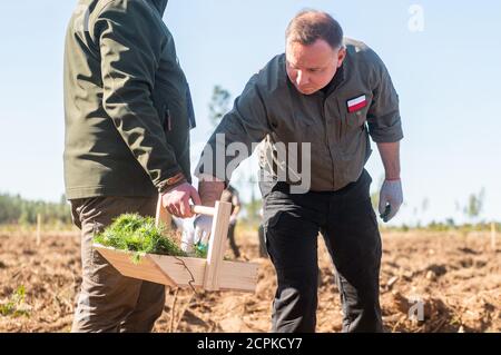 Lipusz, Polonia. 18 Settembre 2020. Il presidente della Polonia Andrzej Duda ha visto piantare alberi nel distretto della foresta di Lipusz. La campagna di SadziMY è stata tenuta per la seconda volta in tutti i distretti della foresta. Nell'anno precedente, i foresters distribuivano i giovani pianta ai volontari. L'iniziatore della campagna nazionale fu il presidente Andrzej Duda, che insieme alla moglie Agata Kornhauser-Duda piantò giovani alberi nel distretto forestale di Lipusz a Danzica, un'area danneggiata da un uragano nel 2017. Credit: SOPA Images Limited/Alamy Live News Foto Stock