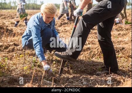 Lipusz, Polonia. 18 Settembre 2020. Moglie del presidente polacco, Agata Kornhauser Duda ha visto piantare alberi nel distretto della foresta di Lipusz. La campagna di SadziMY è stata tenuta per la seconda volta in tutti i distretti della foresta. Nell'anno precedente, i foresters distribuivano i giovani pianta ai volontari. L'iniziatore della campagna nazionale fu il presidente Andrzej Duda, che insieme alla moglie Agata Kornhauser-Duda piantò giovani alberi nel distretto forestale di Lipusz a Danzica, un'area danneggiata da un uragano nel 2017. Credit: SOPA Images Limited/Alamy Live News Foto Stock