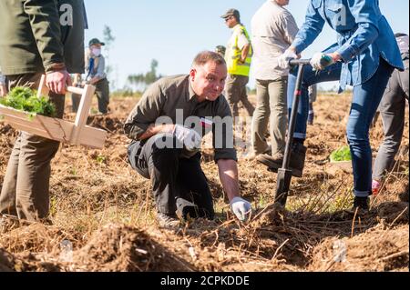 Lipusz, Polonia. 18 Settembre 2020. Il presidente della Polonia Andrzej Duda e sua moglie Agata Kornhauser Duda sono visti piantare alberi nel Lipusz Forest District. La campagna sadziMY è stata tenuta per la seconda volta in tutti i distretti forestali. Nell'anno precedente, i foresters distribuivano i giovani pianta ai volontari. L'iniziatore della campagna nazionale fu il presidente Andrzej Duda, che insieme alla moglie Agata Kornhauser-Duda piantò giovani alberi nel distretto forestale di Lipusz a Danzica, un'area danneggiata da un uragano nel 2017. Credit: SOPA Images Limited/Alamy Live News Foto Stock