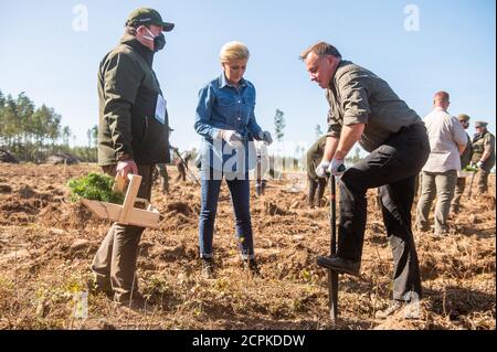 Lipusz, Polonia. 18 Settembre 2020. Il presidente della Polonia Andrzej Duda (R) e sua moglie Agata Kornhauser Duda (C) sono visti piantare alberi nel distretto della foresta di Lipusz. La campagna n. SadziMY è stata tenuta per la seconda volta in tutti i distretti della foresta. Nell'anno precedente, i foresters distribuivano i giovani pianta ai volontari. L'iniziatore della campagna nazionale fu il presidente Andrzej Duda, che insieme alla moglie Agata Kornhauser-Duda piantò giovani alberi nel distretto forestale di Lipusz a Danzica, un'area danneggiata da un uragano nel 2017. Credit: SOPA Images Limited/Alamy Live News Foto Stock