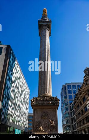 Inghilterra, Londra, Città di Londra, il monumento Foto Stock