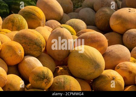 Meloni maturi, sfondo per la vendita di frutta Foto Stock