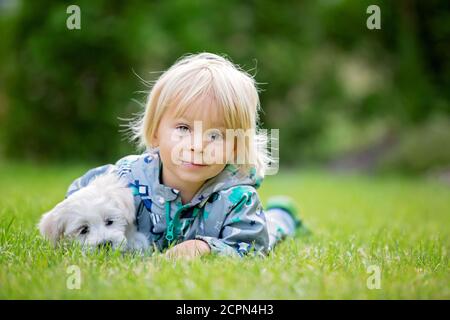 Bambino piccolo, ragazzo biondo, giocando con il piccolo cane di cucciolo maltese in giardino autunno tempo Foto Stock