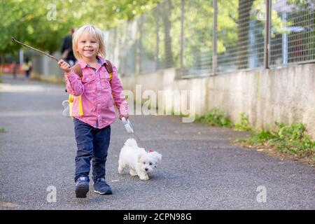 Bambino, ragazzo carino, giocando con il cane animale domestico nel parco, cane maltese e capretto che si godono a piedi insieme Foto Stock