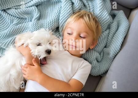 Bambino piccolo, ragazzo, sdraiato a letto con cane da compagnia, piccolo cane da cucciolo maltese Foto Stock