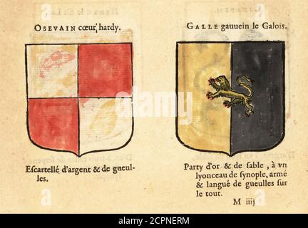 Stemmi immaginari dei Cavalieri della Tavola rotonda di Re Artù: Osevain con il cuore duro, quartered rosso e argento, Galegantin con il cubetto di leone. Chevaliers de la table ronde: OSEVAIN coeur hardy, GALLE gauuein le Galois. Incisione a blocchi di legno colorato a mano da le Blason des Armoiries di Hierosme de Bara, Chez Rolet Bouton, Parigi, 1628 Foto Stock