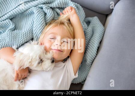 Bambino piccolo, ragazzo, sdraiato a letto con cane da compagnia, piccolo cane da cucciolo maltese Foto Stock