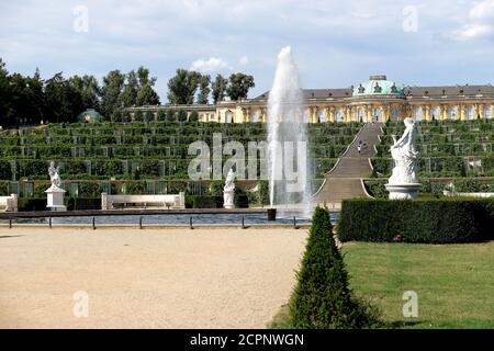 Palazzo Sans-Souci e terrazze, Parco Sanssouci, Potsdam, Brandeburgo, Germania Foto Stock