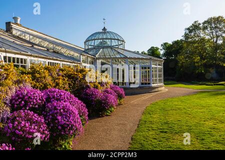 Inghilterra, Londra, Chiswick, Chiswick House and Gardens, il Conservatorio Foto Stock