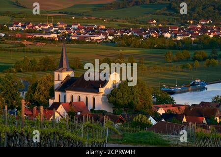 Chiesa parrocchiale cattolica di San Giovanni Battista nel villaggio vinicolo di Wipfeld am Main, distretto di Schweinfurt, bassa Franconia, Franconia, Baviera, Foto Stock