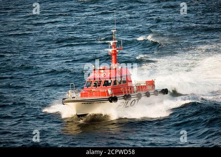 Imbarcazione pilota mentre si avvicina a una nave da crociera. Foto Stock