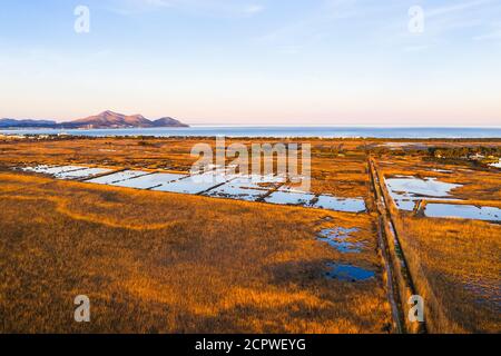 Wetland, Parco Naturale S'Albufera nella luce della sera, regione di es Pla, Maiorca, Isole Baleari, Spagna Foto Stock