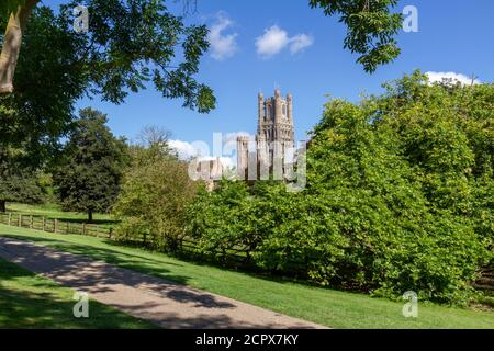 La cattedrale di Ely si affaccia su Cherry Hill Park, Ely, Cambridgeshire, Regno Unito. Foto Stock