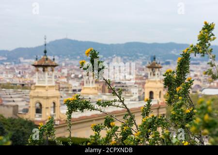 Barcellona, vista dal Museo Nazionale in direzione nord Foto Stock