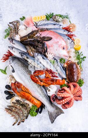 Vista dall'alto, varietà di pesce fresco di lusso, aragosta salmone sgombro gamberi polpo di gamberi muschio rosso capesante e granchio di pietra, su fondo ghiacciato Foto Stock