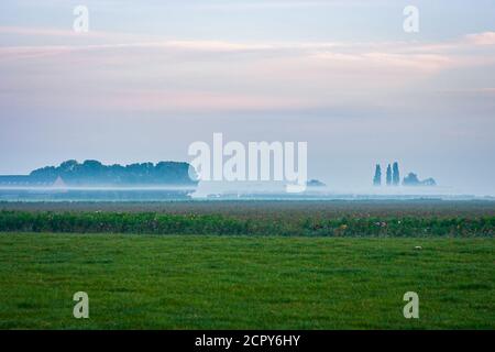 Macchie di nebbia galleggiano sopra il paesaggio olandese polder in la mattina presto Foto Stock