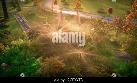 Annaffiatura automatica nel parco all'alba Foto Stock