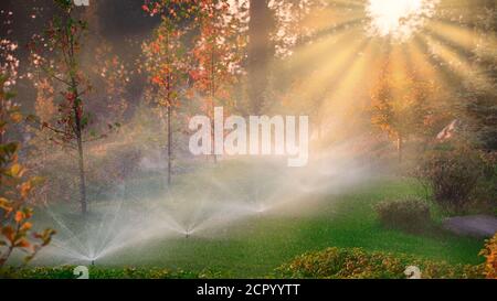 Annaffiatura automatica nel parco all'alba Foto Stock
