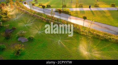 Annaffiatura automatica nel parco all'alba Foto Stock