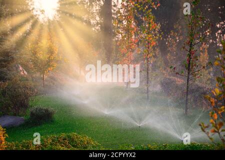 Annaffiatura automatica nel parco all'alba Foto Stock