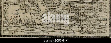 . Emblemas morales de Don Sebastian de Couarrubias Orozco ... . Foto Stock