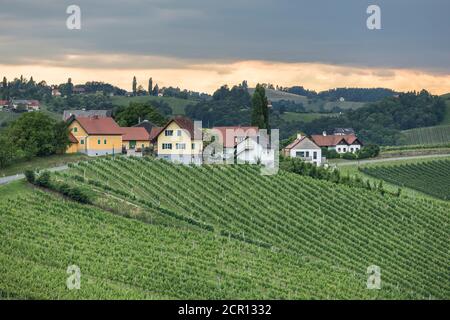 Paesaggio sulla strada del vino della Stiria meridionale, vicino al villaggio di Ratsch an der Weinstrasse, distretto di Leibnitz, Stiria, Austria Foto Stock