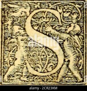 . Simolachri, historie, e figura de la morte. La medicina de l'anima [di Urbanus Reggius] il modo, e la via di cosolar gl'infermi. Un sermone di San Cipriano, de la mortalità. Due orationi, l'una à Dio, e l'altra à Cristo. Un sermone di D. Giovan Chrisostomo, che ci essorta à pazienza. Aiuntovi de novo molte figure mai più stampante . ndo hanno valentemente fat-to remléza à Pinimico,à fatica fi pofTono guardare al punto de la morte, di non fi lafciar ab-batterie àiefue tentatii,&àfuoi aflalti.Chefaranno adunque quelli,in fò fatto Foto Stock