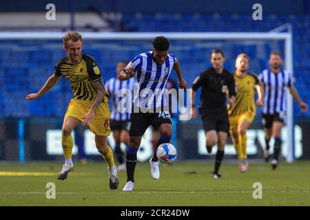 Elias Kachunga (45) del mercoledì di Sheffield rompe libere da ben Wilmot (6) di Watford Foto Stock