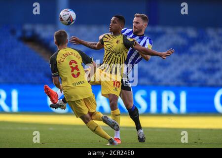 Tom Lees (15) del mercoledì di Sheffield si inzidì con João Pedro (10) di Watford Foto Stock