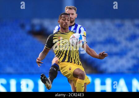 Tom Lees (15) del mercoledì di Sheffield si inzidì con João Pedro (10) di Watford Foto Stock