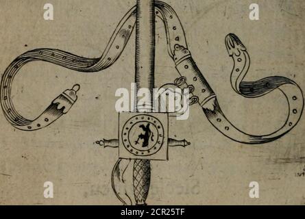 . Device eroiques, et emblemes . Siècle vaincu. La VE^t/e de U couronne (te^i^es^ qui ffgarde itrecyeneY4tion en U Sainte chapeuea Paris, enjèmhle du Rojêau de la facon denotre Sauueur leji-chrijl, ejl enfiffie de finre^e celebrelle ^ éternel ^ de fa ^iStoelsej de diabis. SS^tq. ju devia Terticulumnoxa:. r. Epouerifeil a faute. Vomfe^le Granà ejlant crée chef darmée^ &* ^jila tenuoyant en Sicile^ nonfèulementy JE porta en Magiftntt de guerre, freus hardi & yigîltnt^mais auJ?ijegouer/ïa trc^cqui- -Mement::uànt en iujie o C/o C 315 q Foto Stock