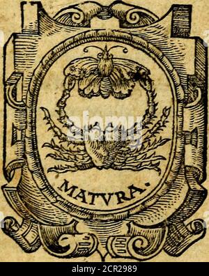 . Simolachri, historie, e figura de la morte. La medicina de l'anima [di Urbanus Reggius] il modo, e la via di cosolar gl'infermi. Un sermone di San Cipriano, de la mortalità. Due orationi, l'una à Dio, e l'altra à Cristo. Un sermone di D. Giovan Chrisostomo, che ci essorta à pazienza. Aiuntovi de novo molte figura mai più stampa . IN LYONE APPRESSO GIOVAN FRELLLLONE,M. ÙE 2 3 SZ-Bs&ct ssimolachrihistor00john Foto Stock