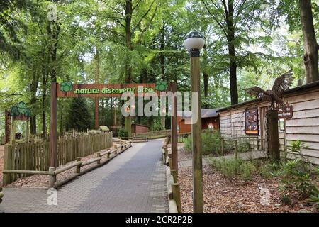 Nature Discovery Area, Centre Parcs Longleat Forest, Warminster, Wiltshire, Inghilterra, Gran Bretagna, Regno Unito, Regno Unito, Europa Foto Stock