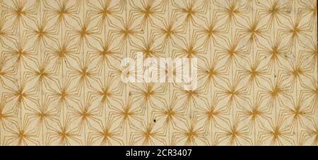 . Les chemins de fer . triques. Arrêts aux diverses stations ; les buvettes et lesbuffets 406 XXV. LES INCIDENTI SCR LES CHEMINS DE FER. à LCS incidents dus   lacbatus des voitures dans les rues de Paris.-comparaison avecles incidents de chemin de fer sur les cinq grandes lignes de France.- Les incidents étudiés dans leurs causes ; moyens de les prévenirou den sinuer le nombre. – incidents dus au matériel ; auxemployés; aux imbudences des victimes. – Conseils aux voya-geurs. 415 XXVI. POUR PRENDRE CONGÉ.- importance sociale des chemins de fer;révolution pacifique et économique quils Foto Stock